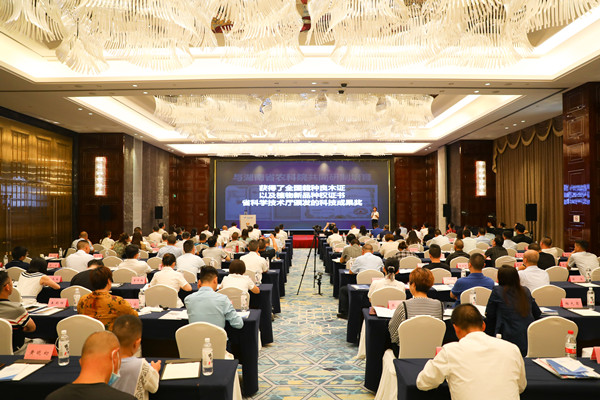 Image title Image title